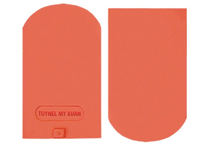 NGÓI VẢY CÁ LỚN