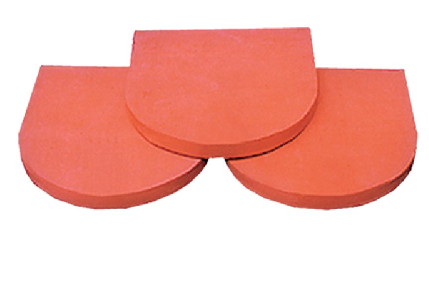 NGÓI VẢY CÁ NHỎ